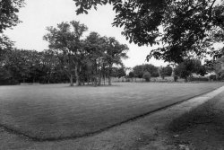 [391] 1960s Monks Park
